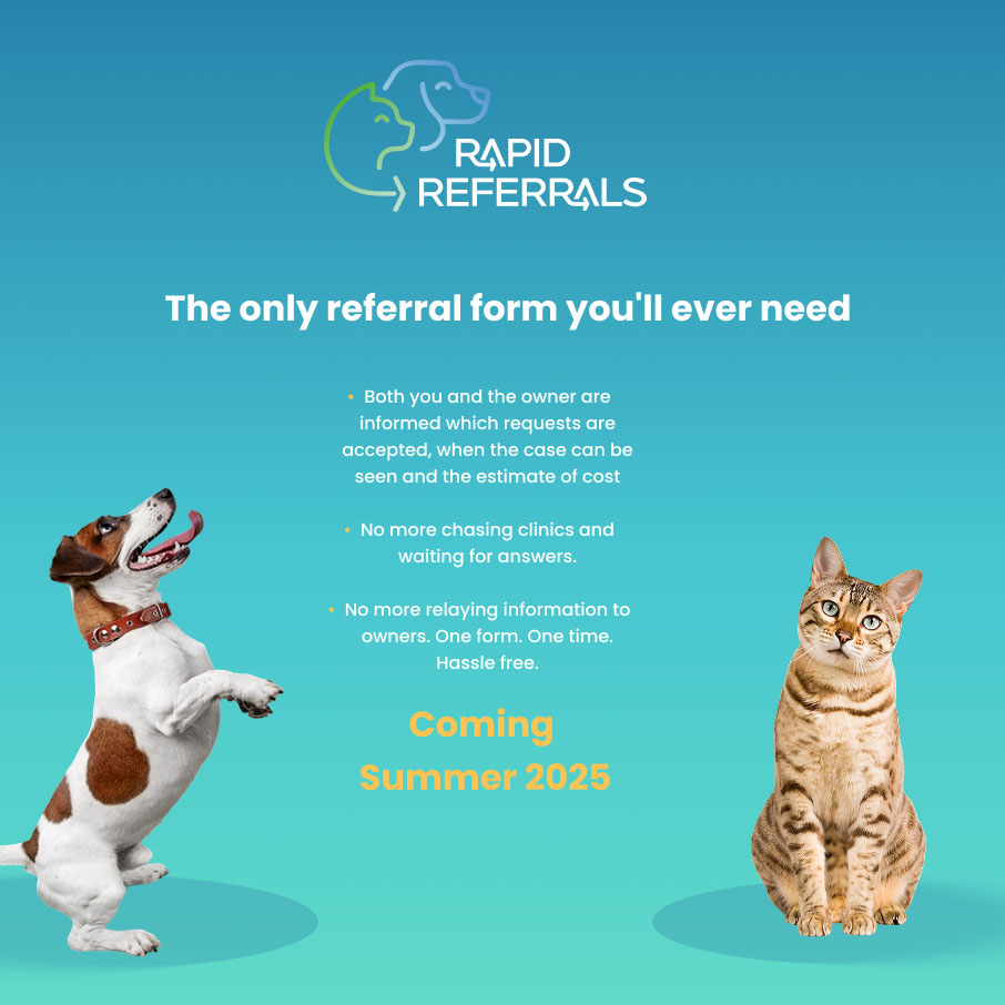 Branding and website design